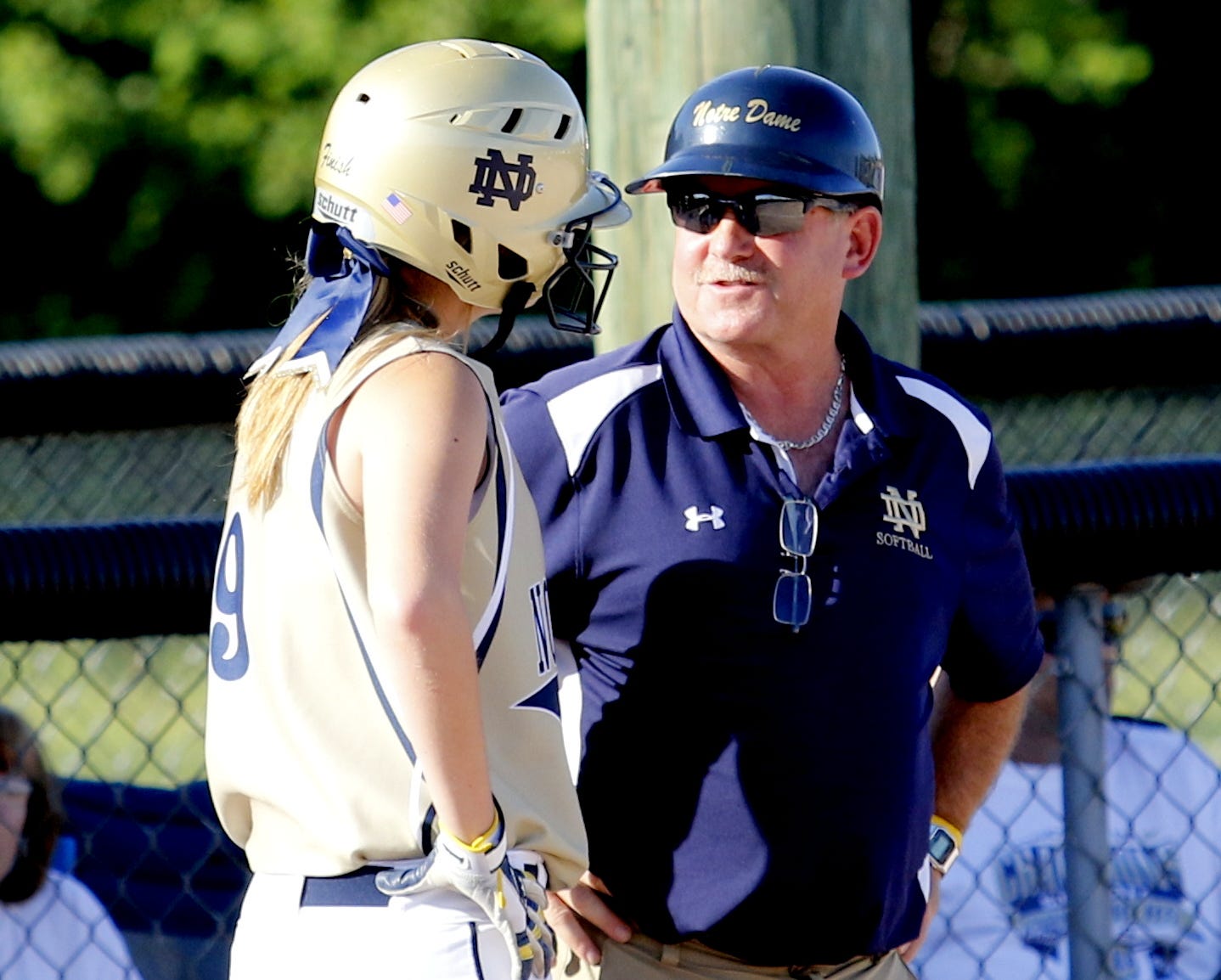 Steve er resigns as Elmira Notre Dame softball coach