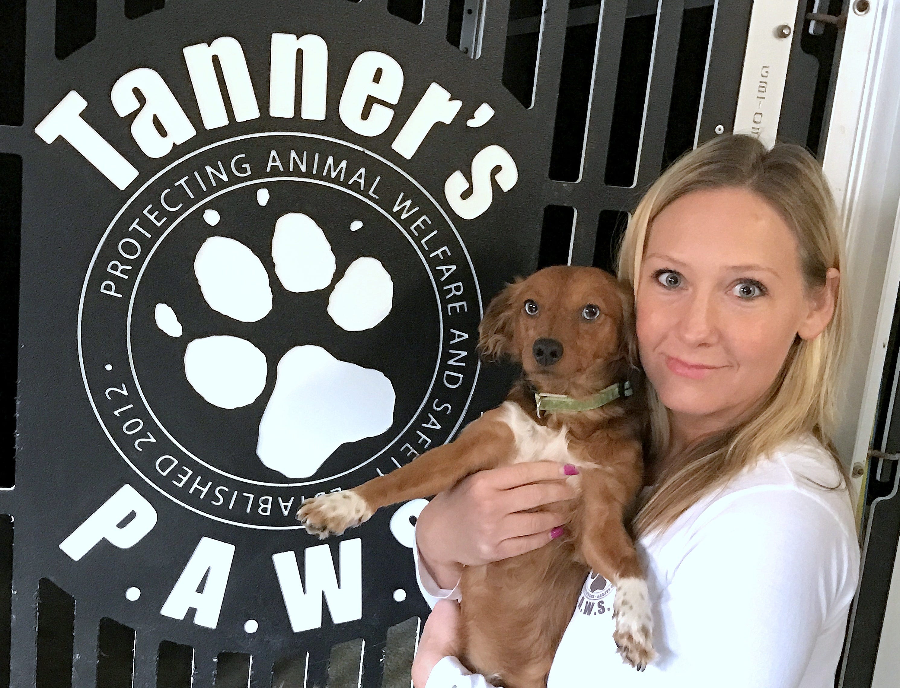 Rescue group needs public support to treat sick dogs Rescue group needs public support to treat sick dogs