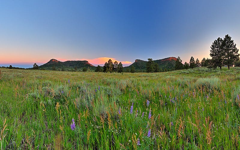 In 2017, Trump significantly shrunk the size of Bears Ears National Monument in southern Utah. The site was reduced by more than 1.1 million acres, about 85% of its original land.