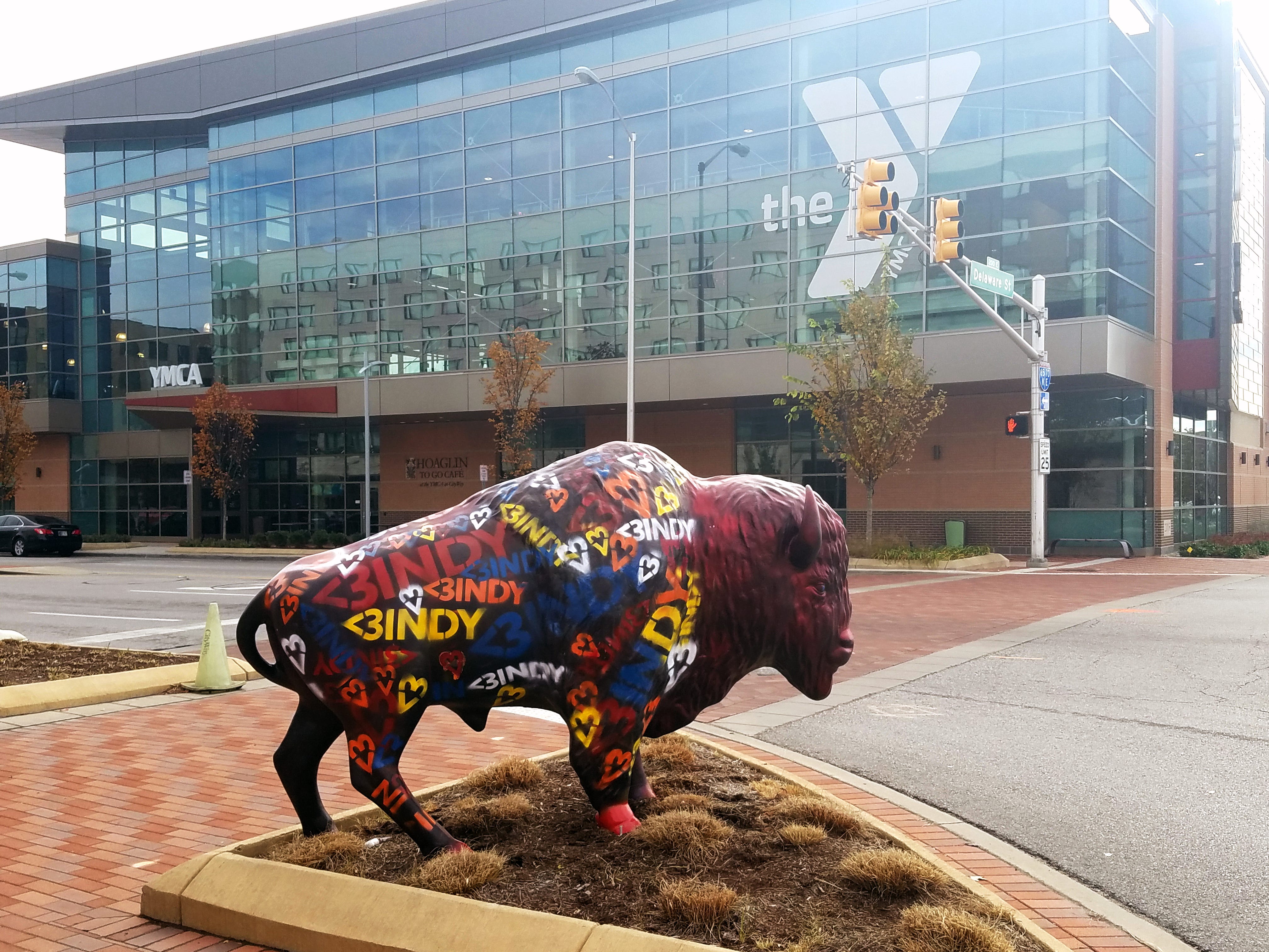 Where is CityWay's bison?