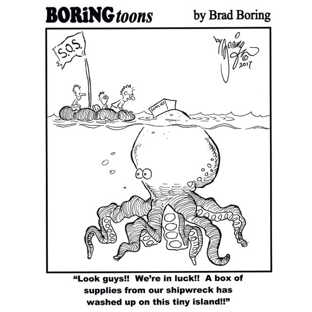Brad Boring Cartoons 2017