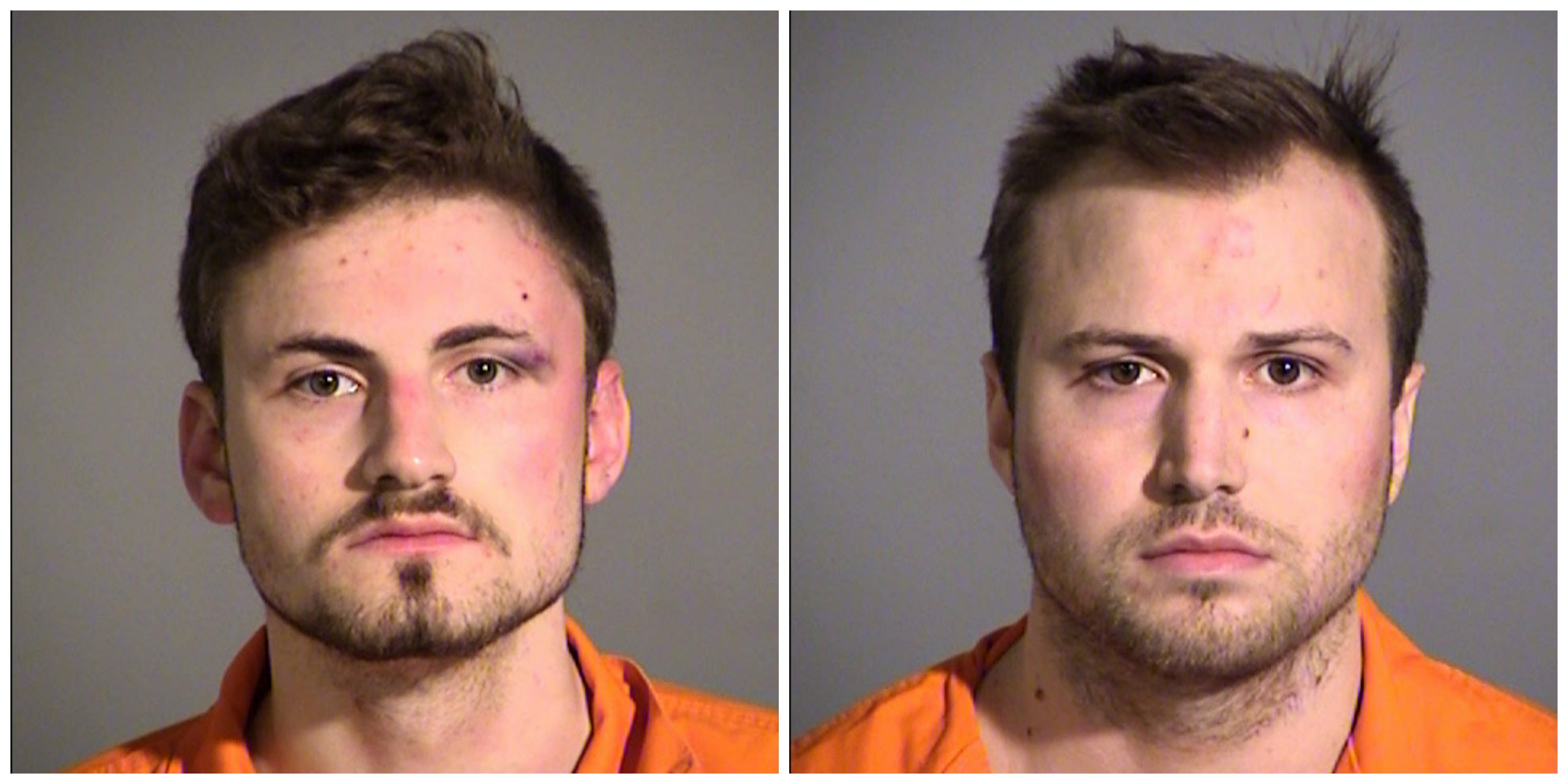Brothers high on mushrooms fight naked on Indy's south side