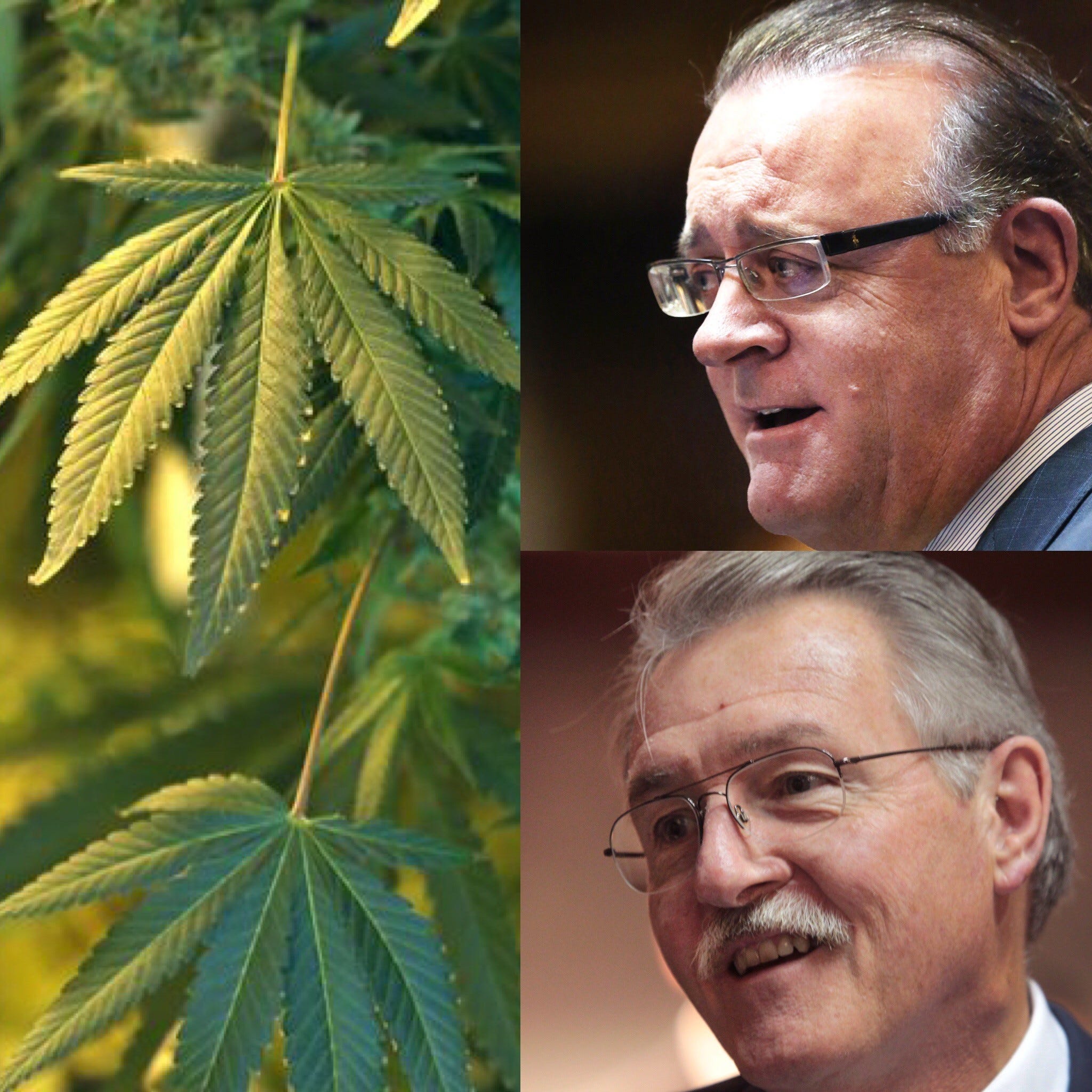Top lawmakers smelled out Indiana marijuana scheme