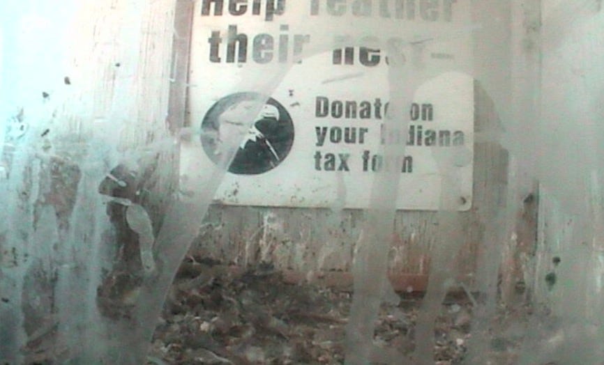 Falcons could use a little glass cleaner