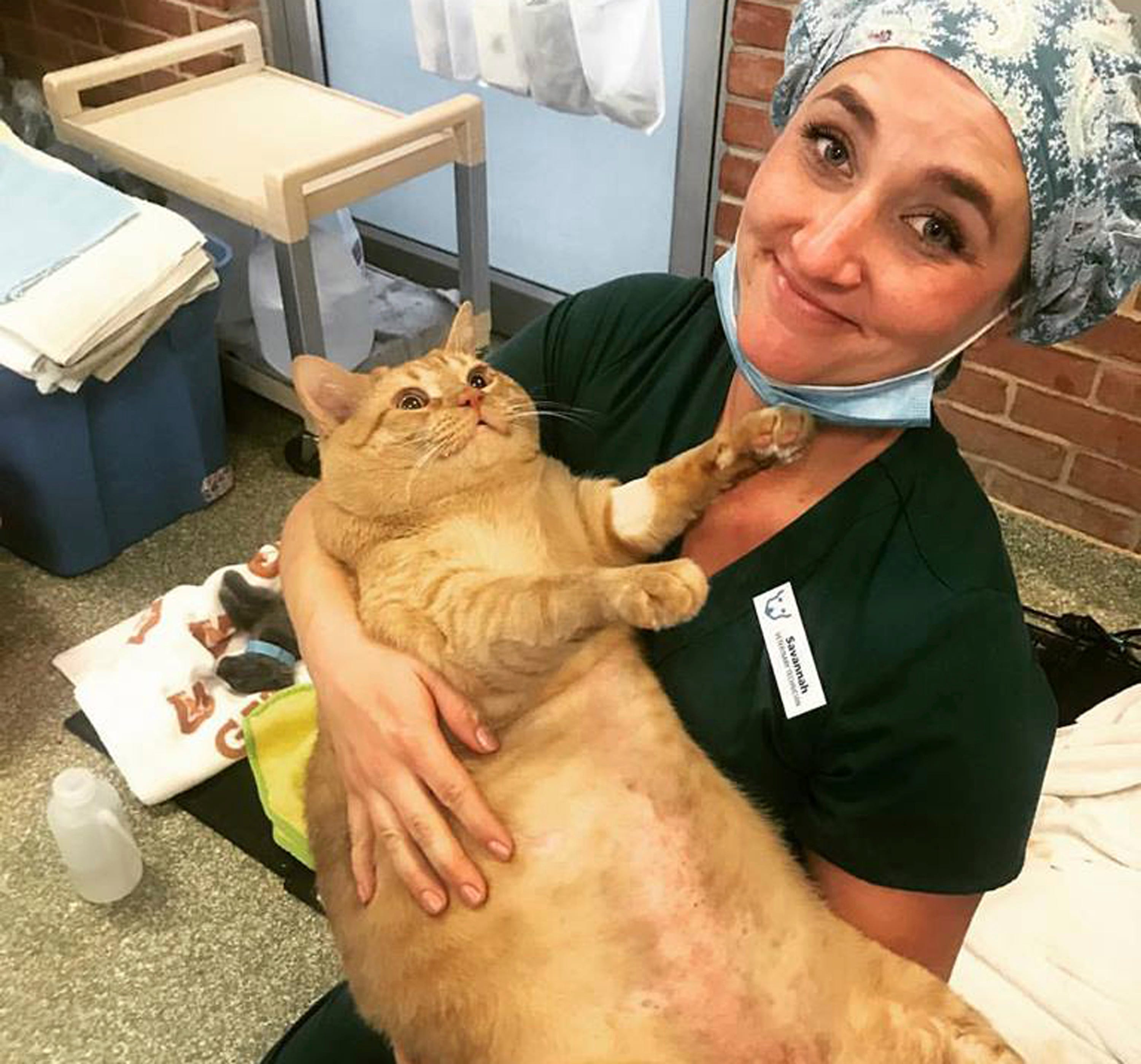Fat Cat Symba Finds New Family After Photos Go Viral Ktvb Com