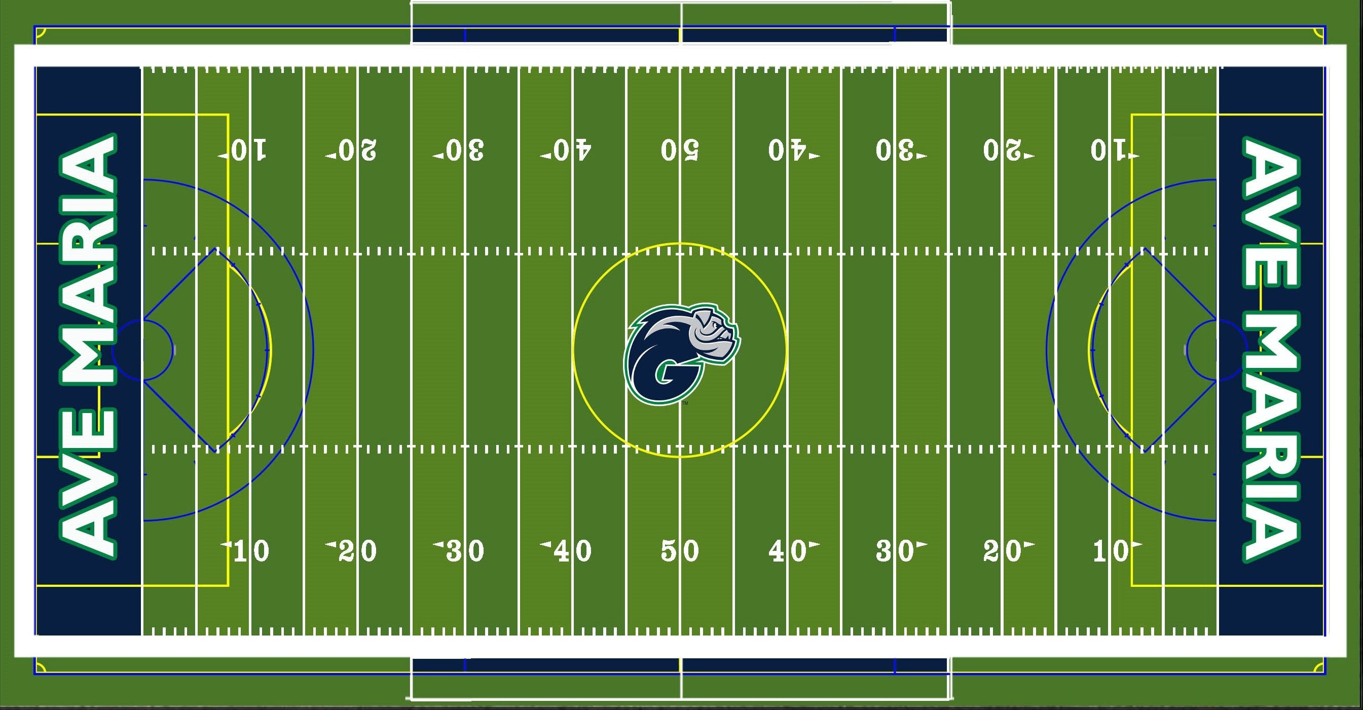 College sports Ave Maria getting new football field