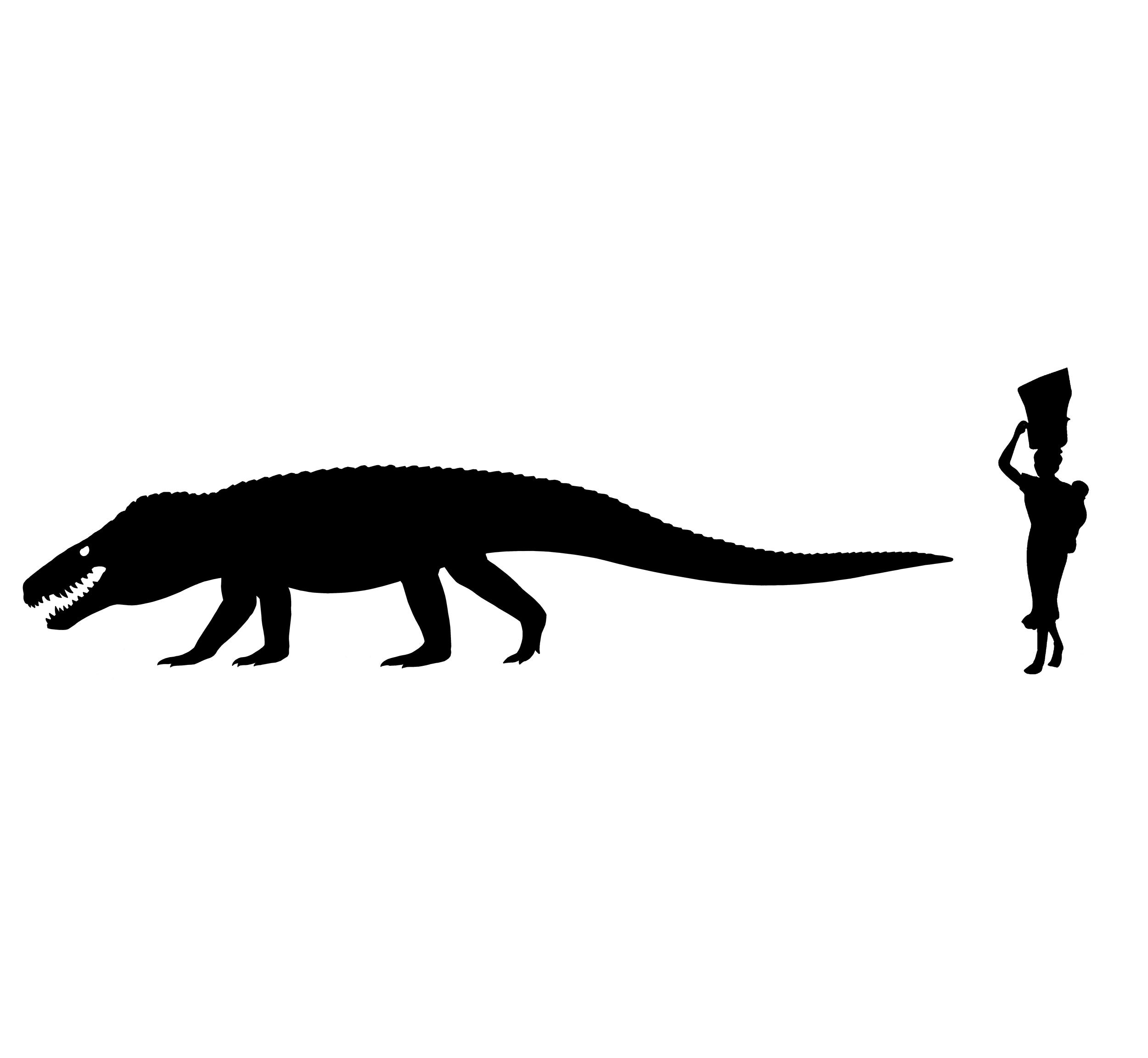 t rex crocs