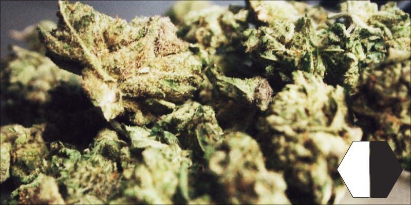 This is where Southwest Ohio's only pot farm will be, so far