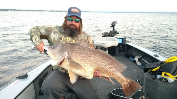 Beat the drum! Macedon angler catches state record freshwater drum