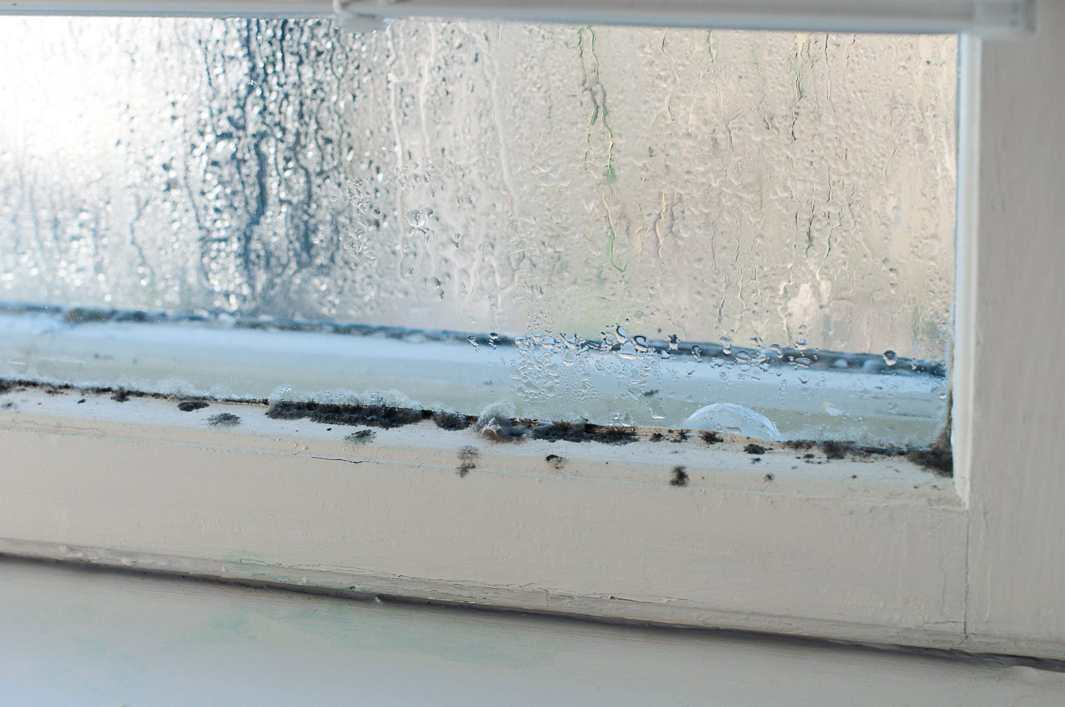 Winter brings mold: Here&rsquo;s how to stop it