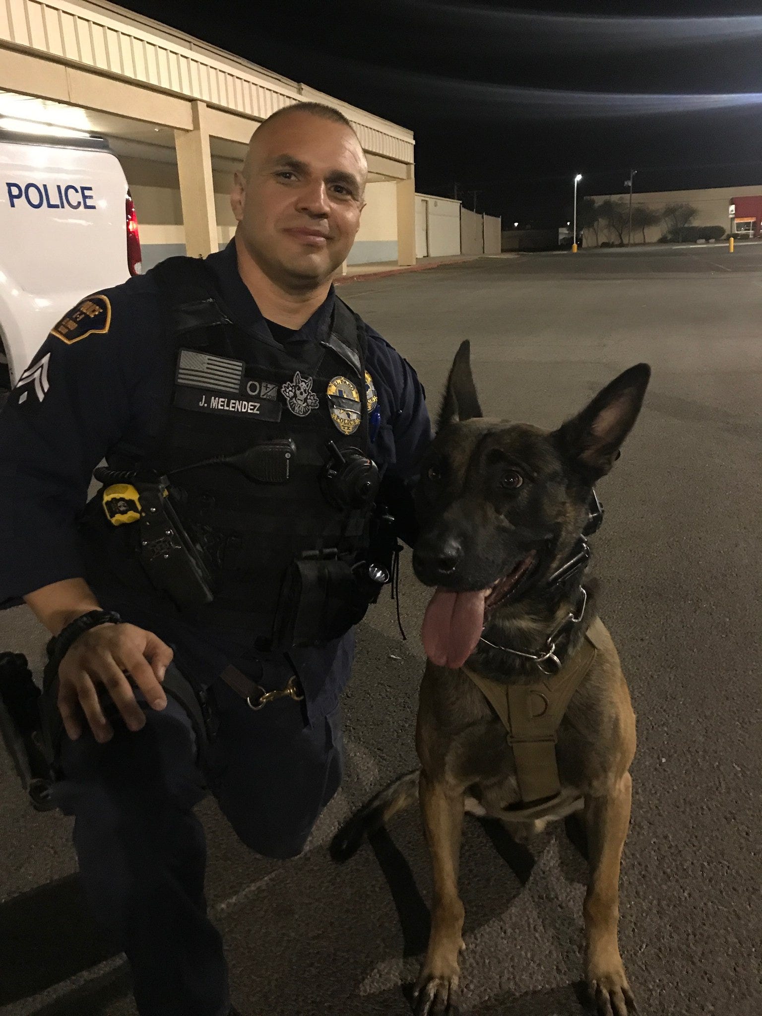 Famed El Paso police K-9 Johnny Cash foils man&apos;s alleged attempt to flee from police