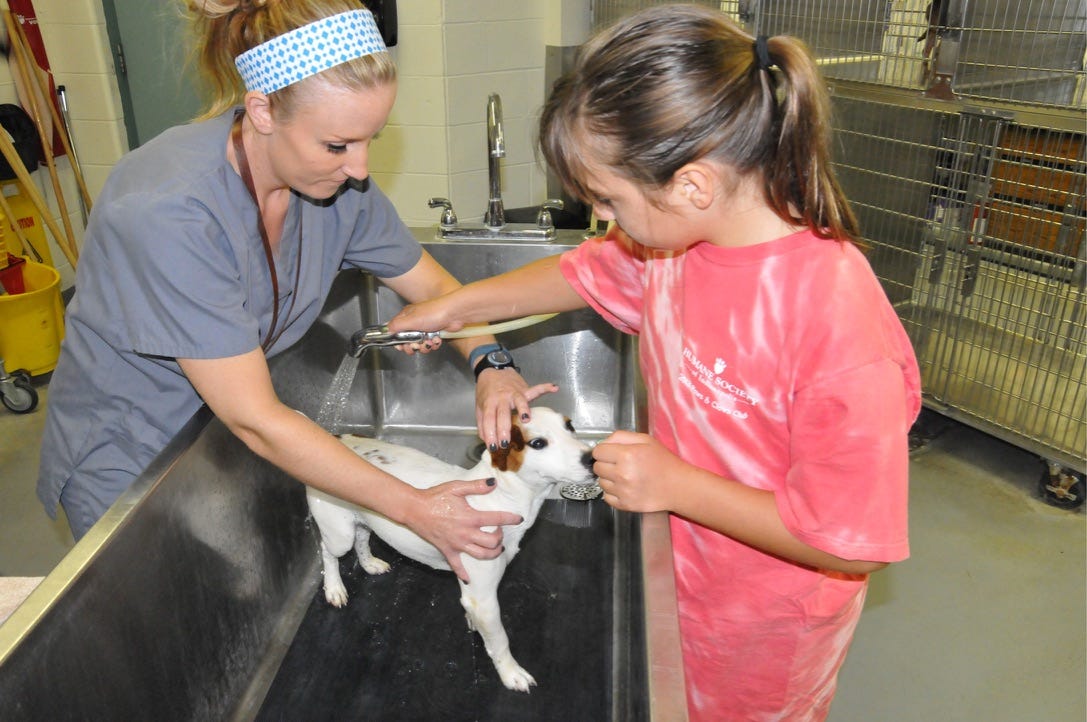 Humane Society to honor Indy teen for fundraising, fostering 50 pets