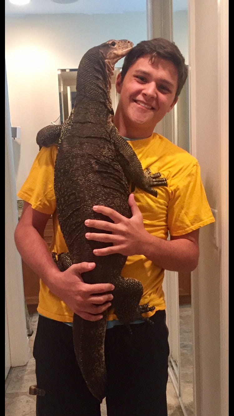 6-foot pet Asian water lizard escapes into Florida neighborhood | whas11.com
