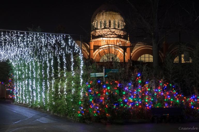 Come for Festival of Lights, Stay for Tom Sawyer
