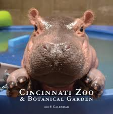 Gift ideas for the Cincinnati animal lover