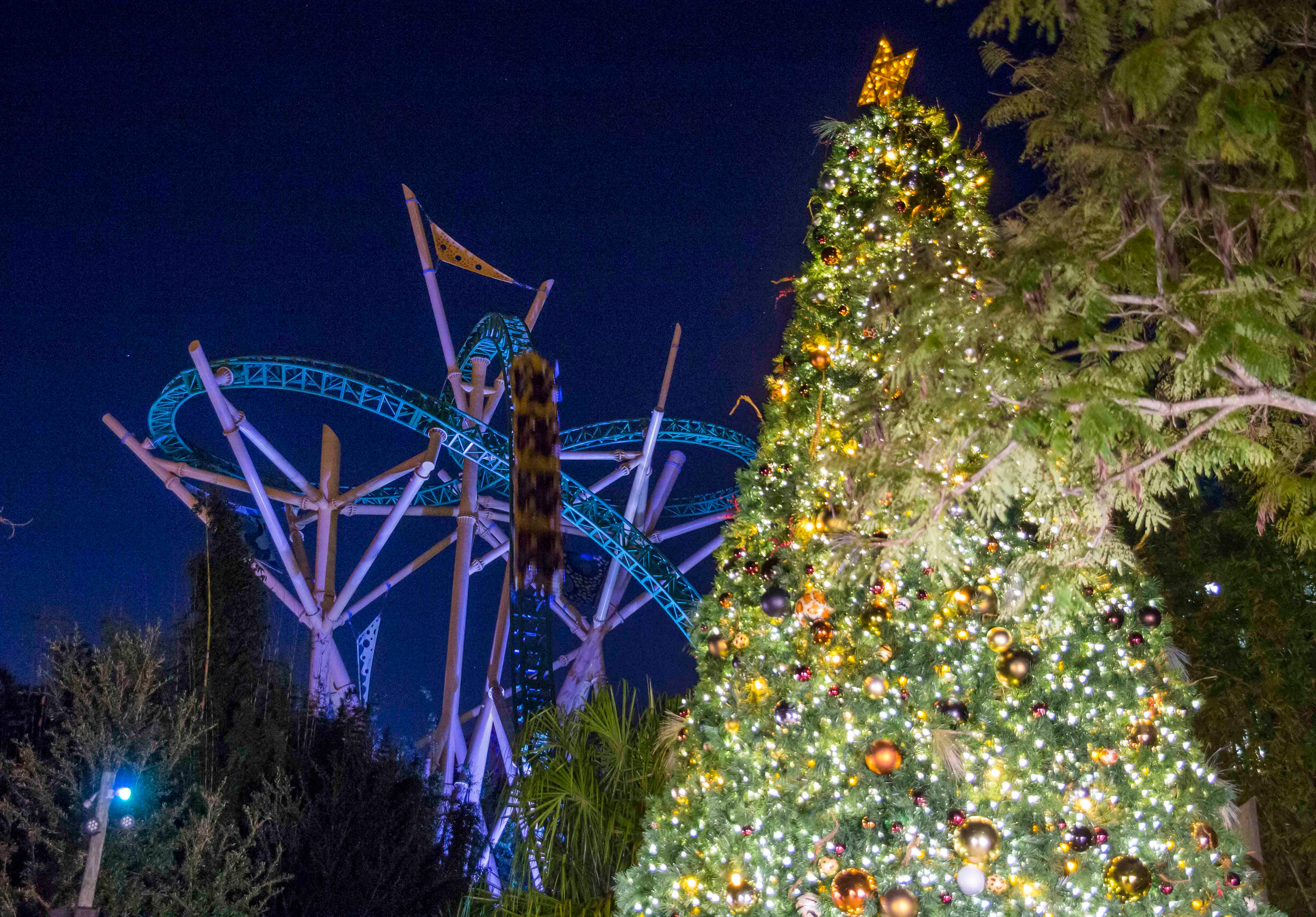 Holiday Events Add A Warm Glow To Chilly Theme Parks Ksdk Com