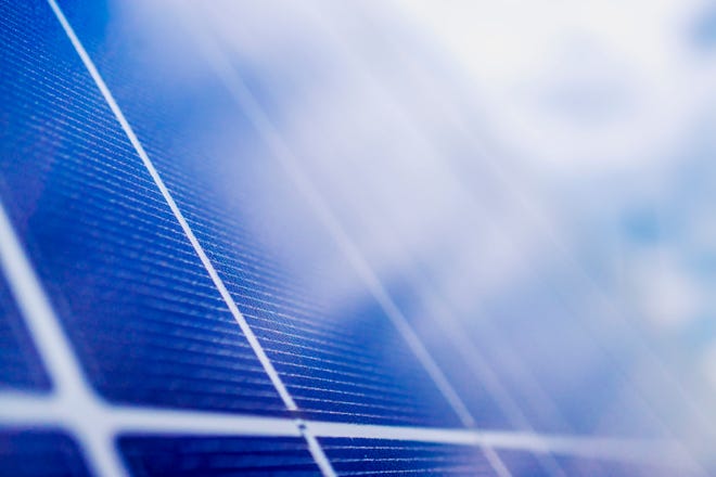 Gardening Camp engages youth in 4-H actions