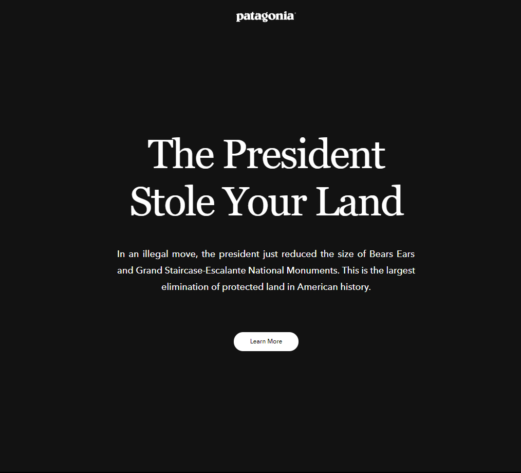 &apos;The president stole your land,&apos; Patagonia homepage says