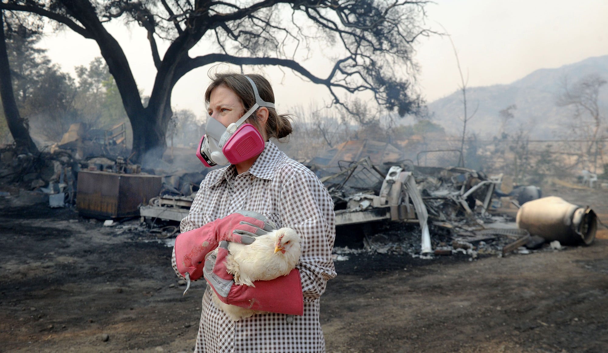 Update 12/16/17 Residents flee as California wildfire nears Santa Barbara, Montecito 659 Views