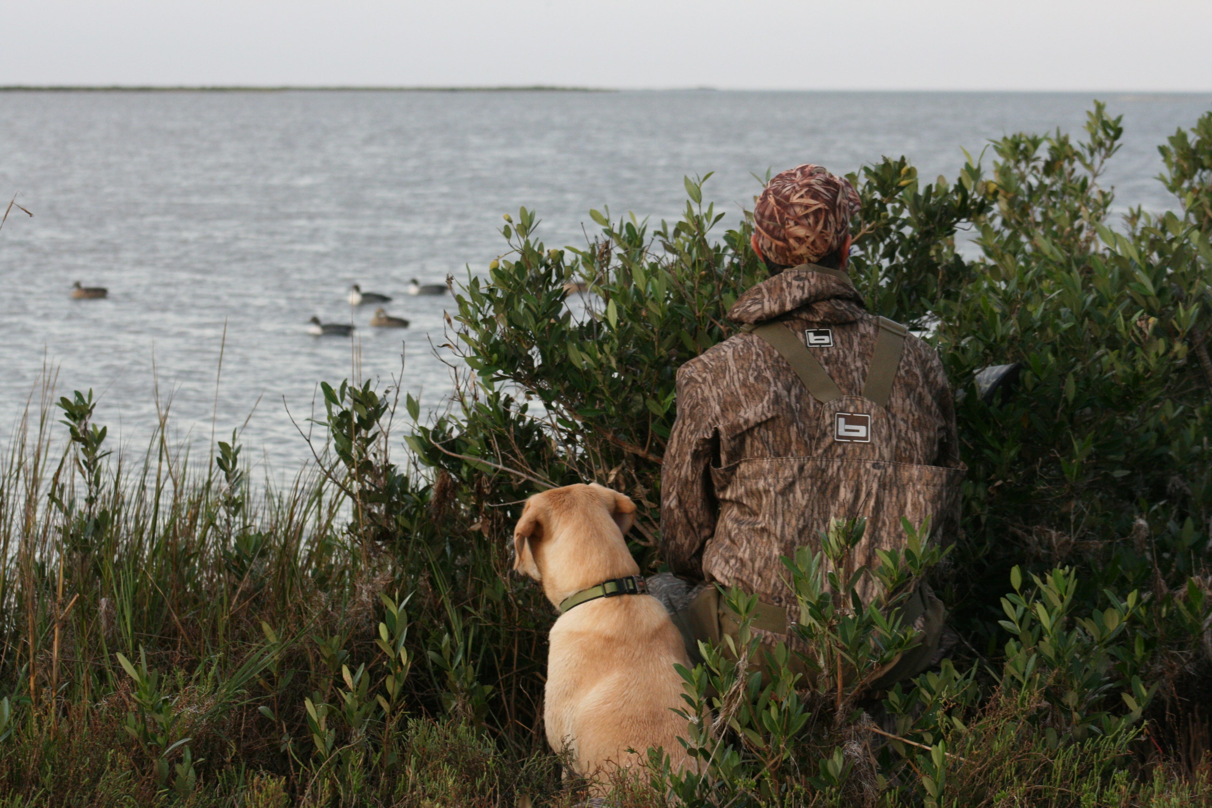 Topnotch duck hunting on Texas’ Gulf Coast Werner Teal