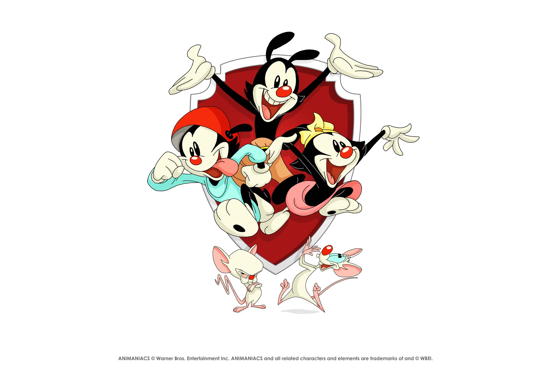 download animaniacs cartoons