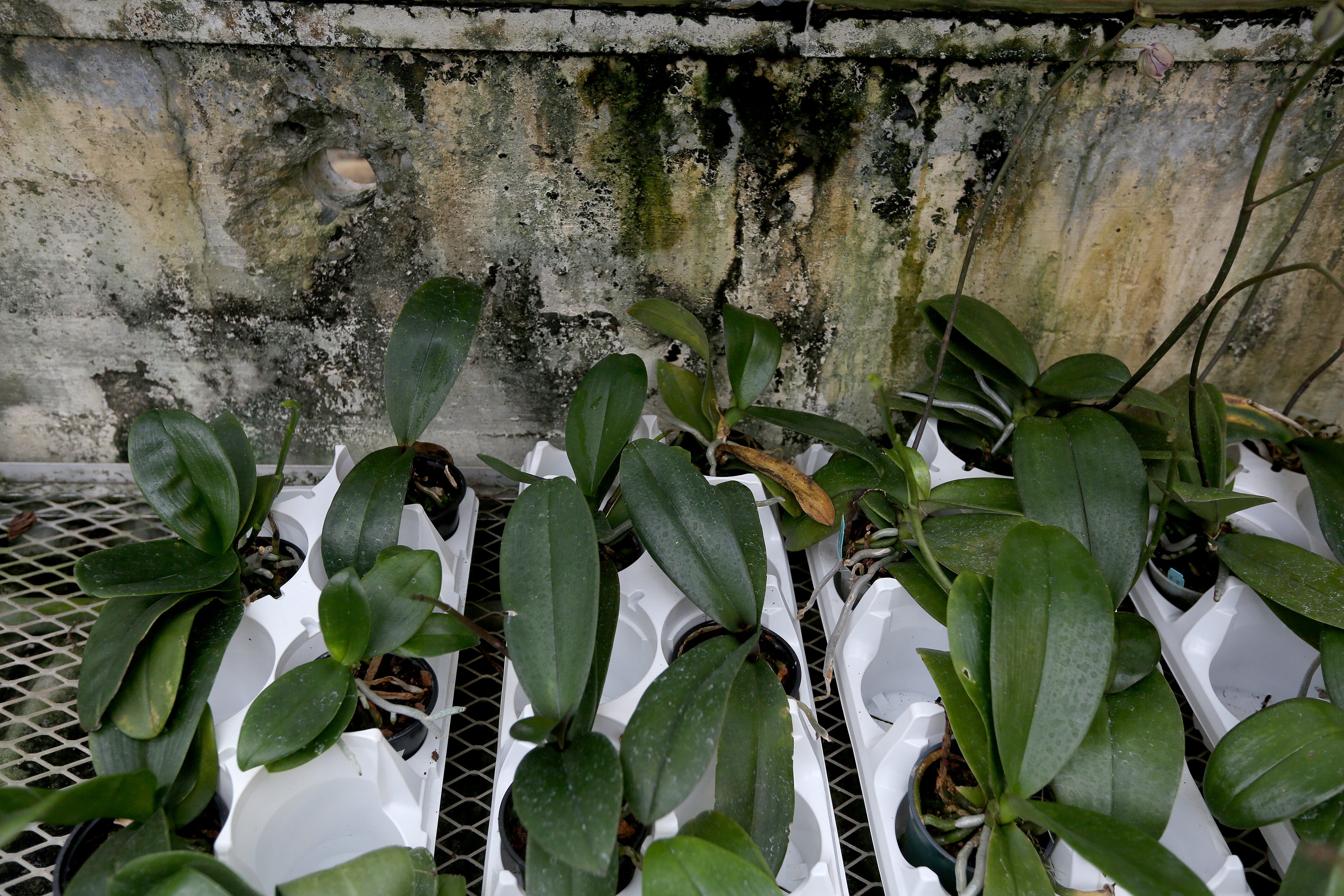 There's $58 million worth of problems in Cincinnati's parks; now there's a plan for fixes