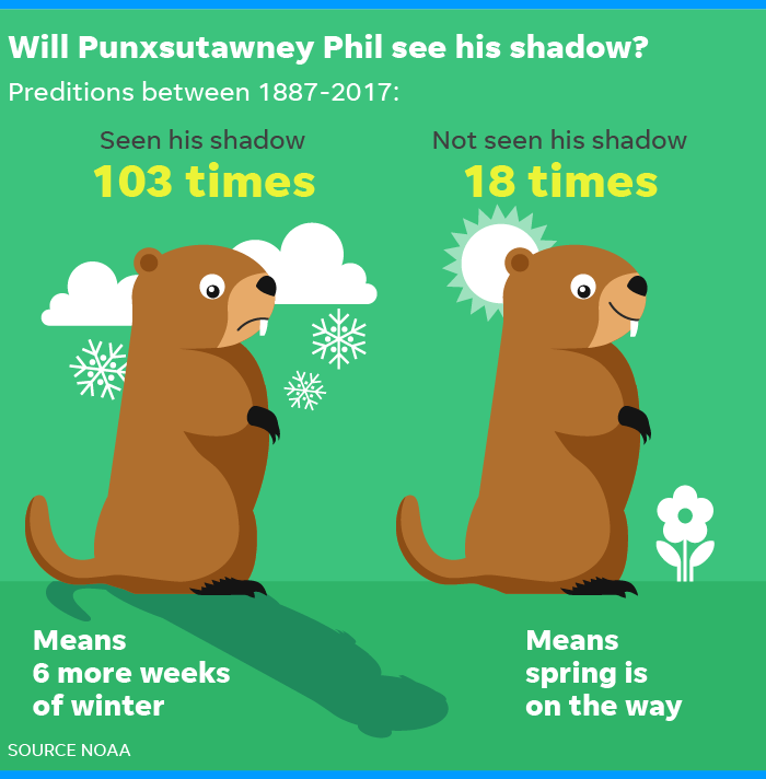 Will The Groundhog See His Shadow In 2024 - Jolyn Madonna
