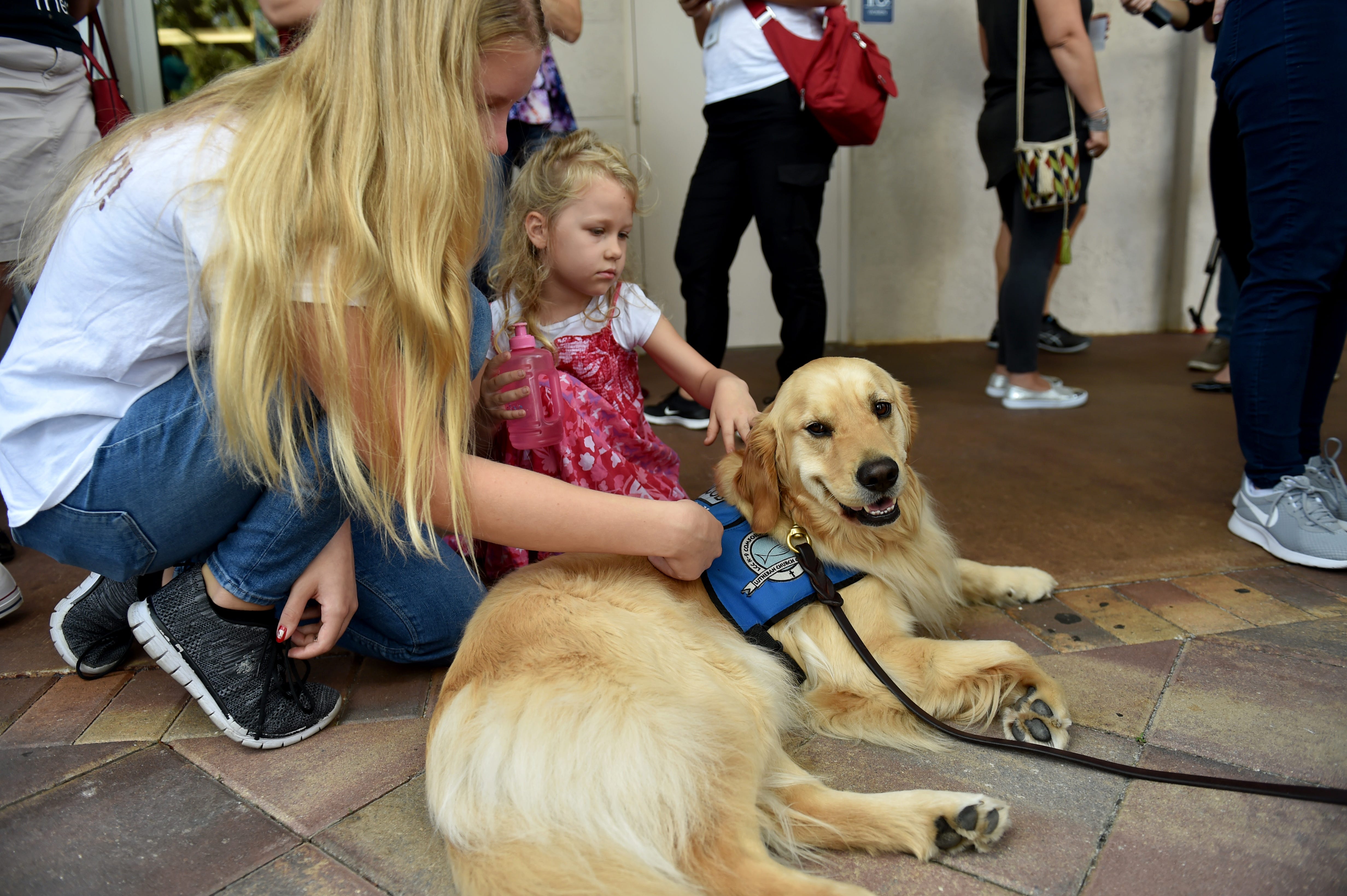 Florida school shooting: Comfort dogs offer support to grieving community
