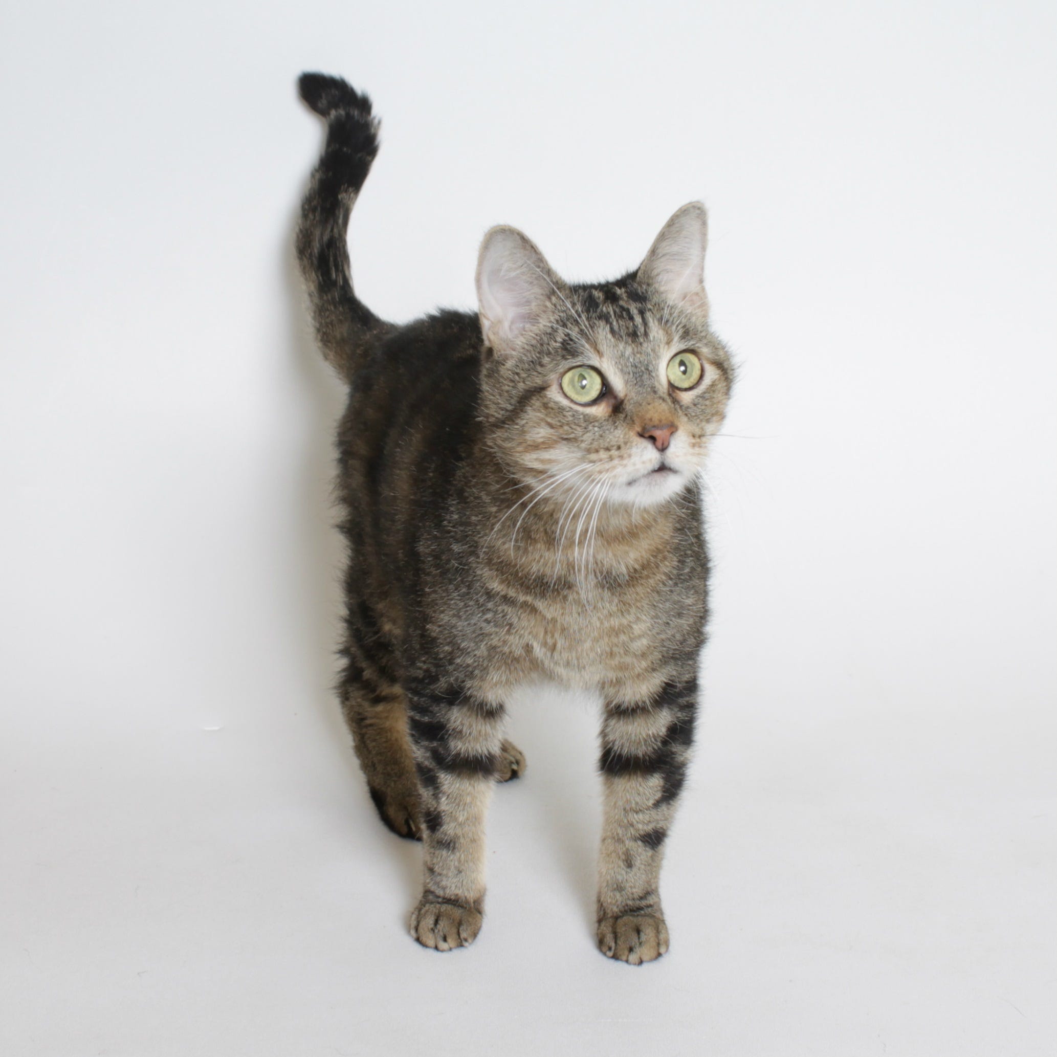 Https Www Tcpalm Com Story Specialty Publications Your News Indian River County Reader Submitted 2018 03 30 Tcchs 25th Classic Golf Tournament Held June 16 474003002 2018 03 30t18 54 03 00 00 Https Www Gannett Cdn Com Media 2018 03 30