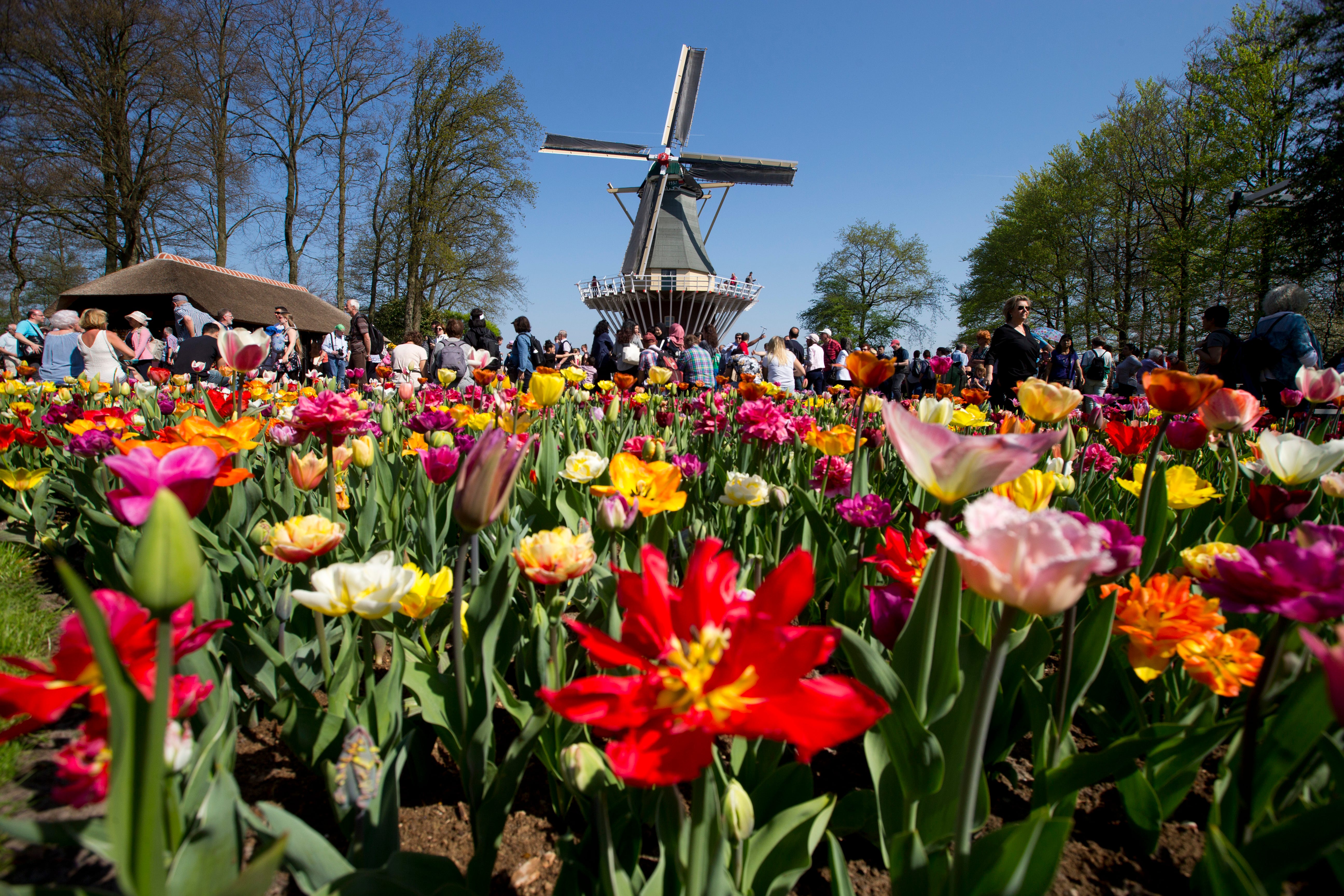 Tourists visit the Keukenhof spring garden in Lisse, west central Netherlands.