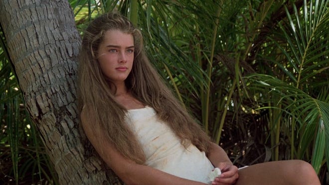 "Blue Lagoon" was still a highly-controversial film when it debuted over 40 years ago. But now, star Brooke Shields doesn't believe a movie "like that" will ever be made again.