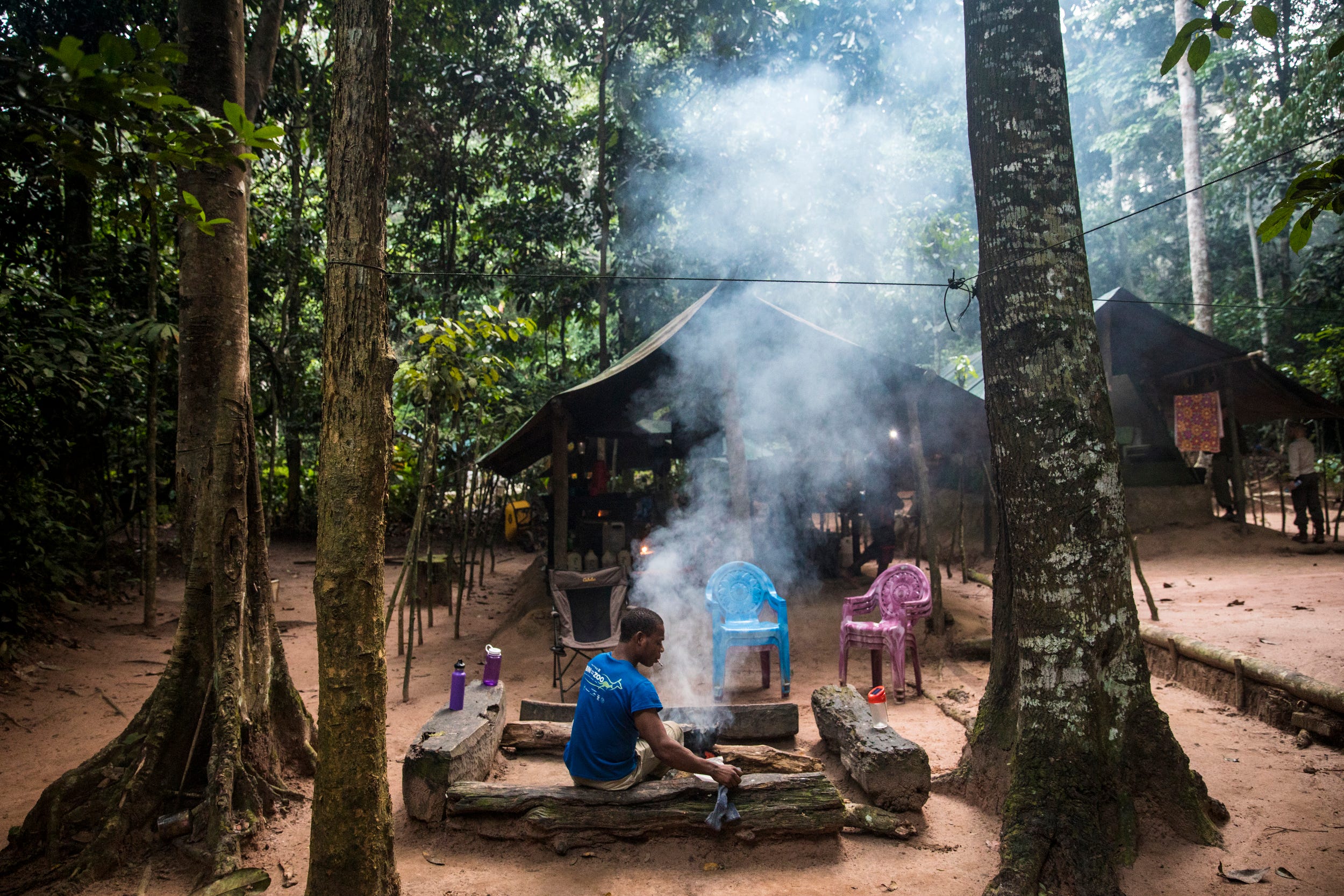 The Goualougo Triangle Ape Project basecamp is home to researchers and trackers. The Triangle recently became protected as part of the Nouabalé-Ndoki National Park in 2012, after the Congolese government, a local logging company and several conservation organizations collaborated to change its protected status.