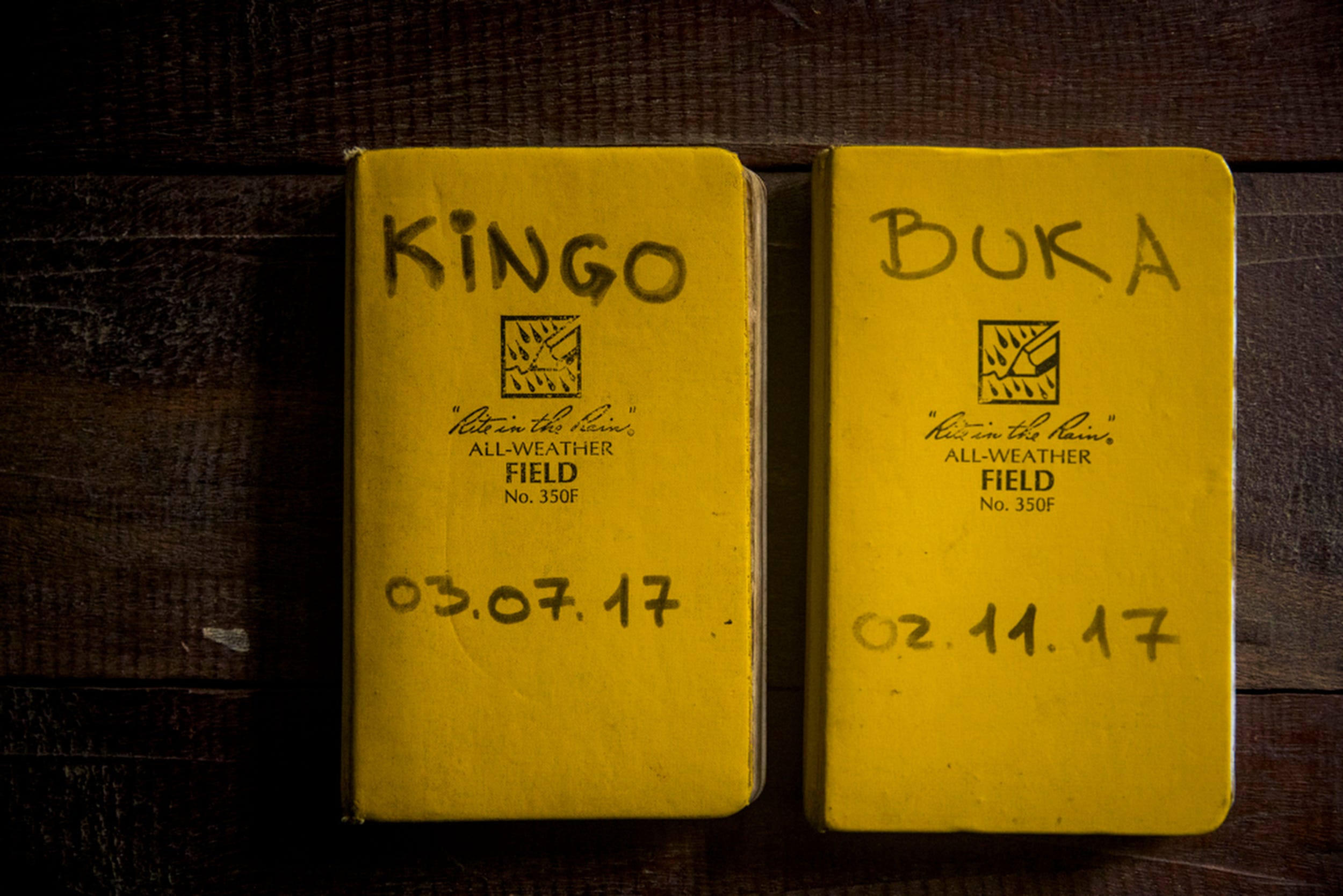 Researchers and trackers log their observations of Kingo and Buka's group in these notebooks.