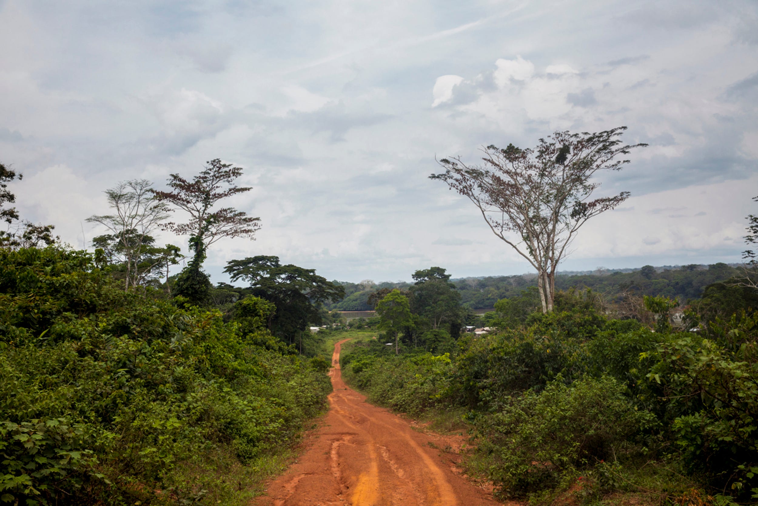 After a week in the forest, the group leaves to return to the Nouabale-Ndoki National Park's headquarters in Bomassa. "The heartening part is that this has only been protected for less than 25 years," said Thane Maynard. "It was through the work of the Wildlife Conservation Society, Dr. Mike Fay and his mega transect and hundreds of other people that worked for the government of Congo to say this is important."