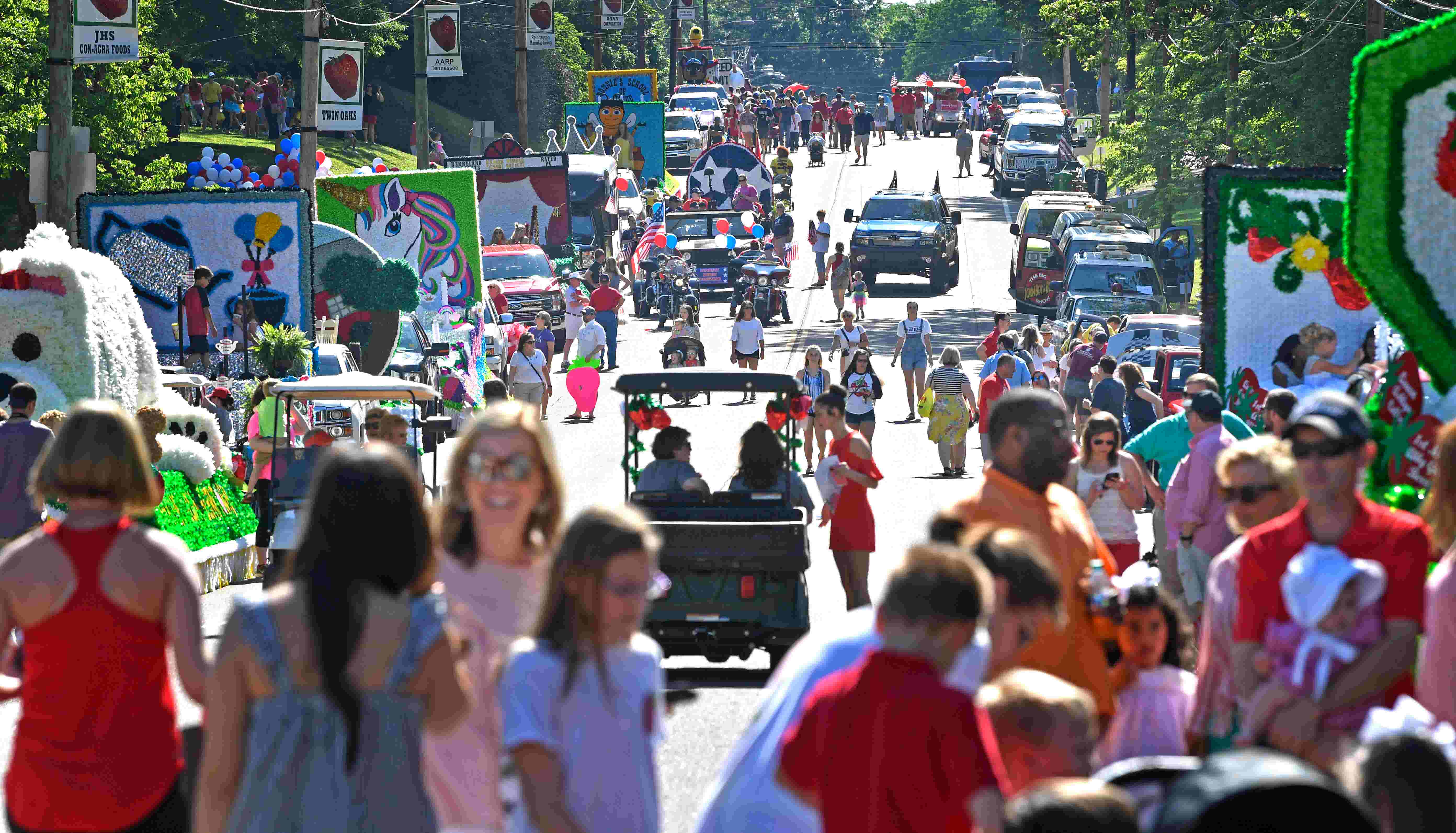 Politics at the Humboldt Strawberry Festival