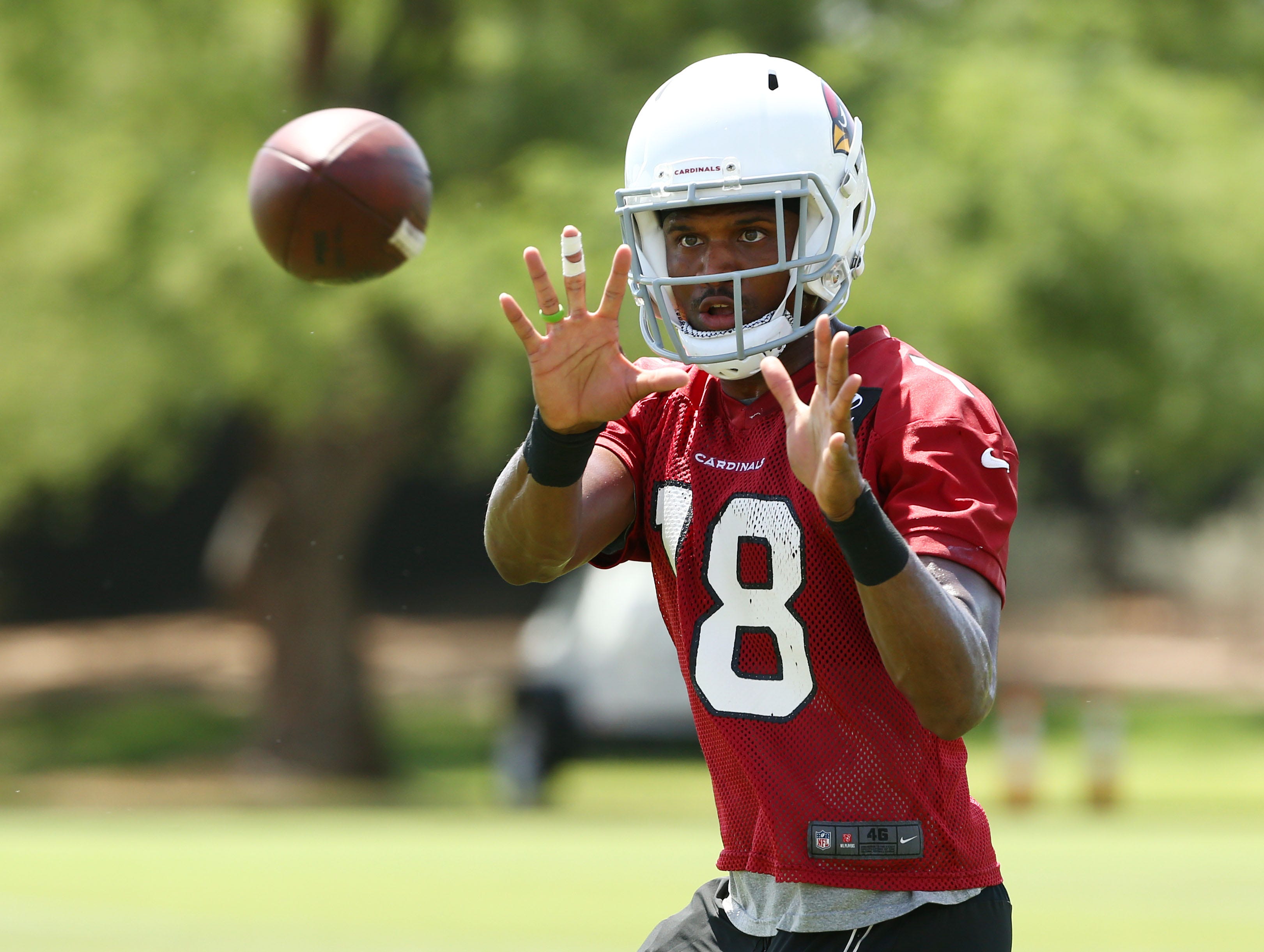 Arizona Cardinals' Brice Butler 'going to prove' he is worthy of being team's No. 2 WR