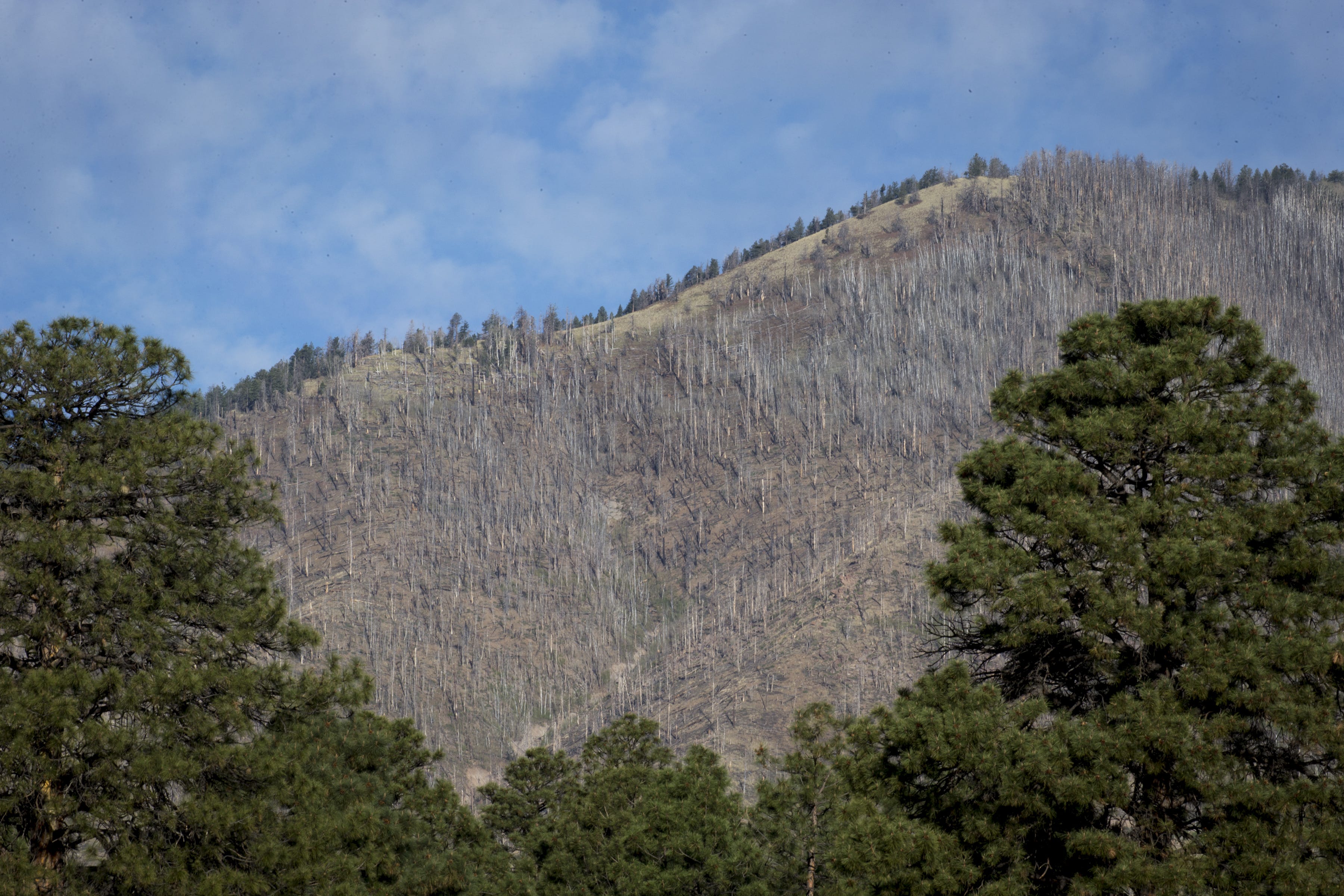 In 2018, the scar of the Schultz Fire remains in the Coconino National Forest near Flagstaff. The fire burned more than 15,000 acres in June 2010.
