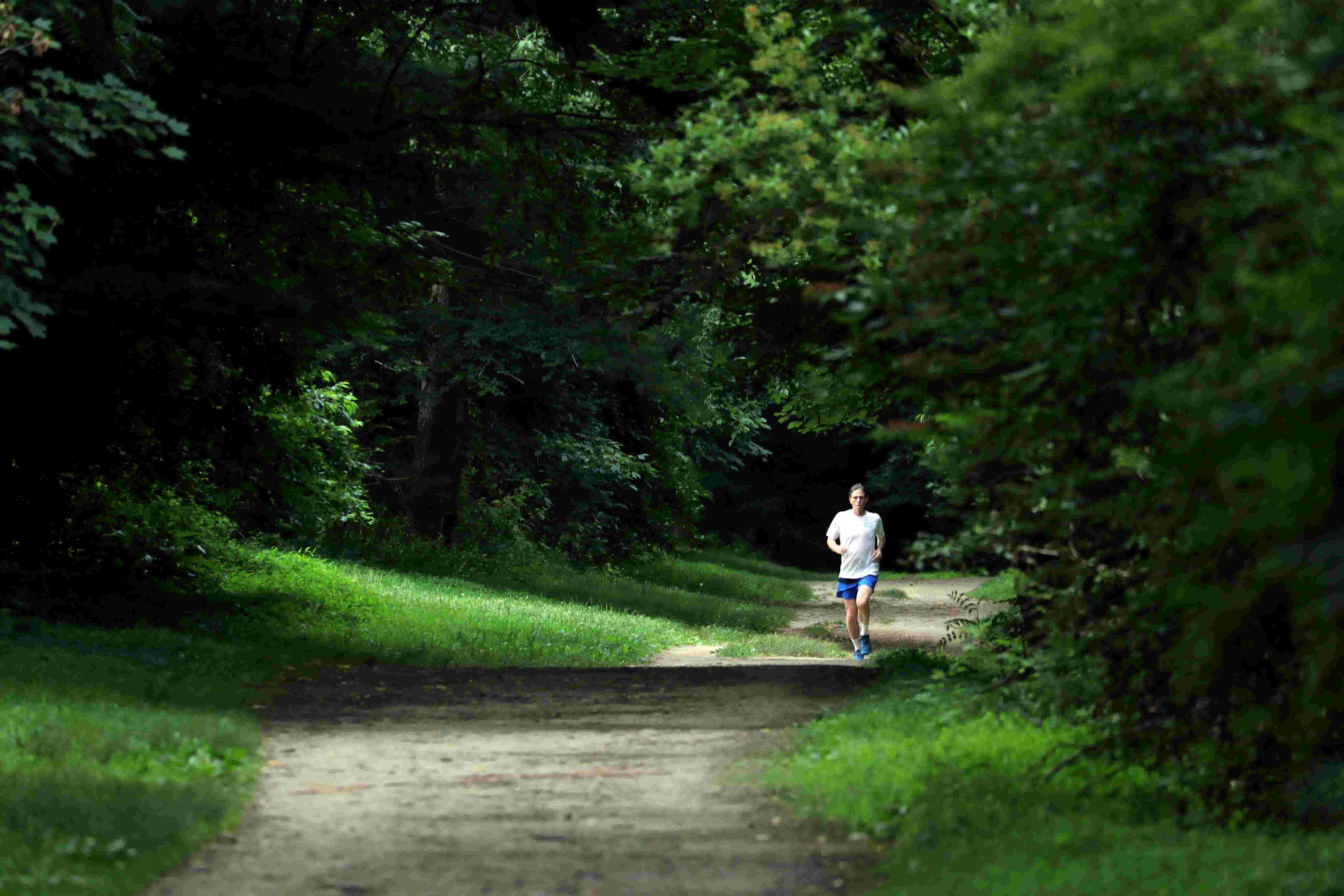 Video A Walk Through History On The Old Croton Aqueduct Trail