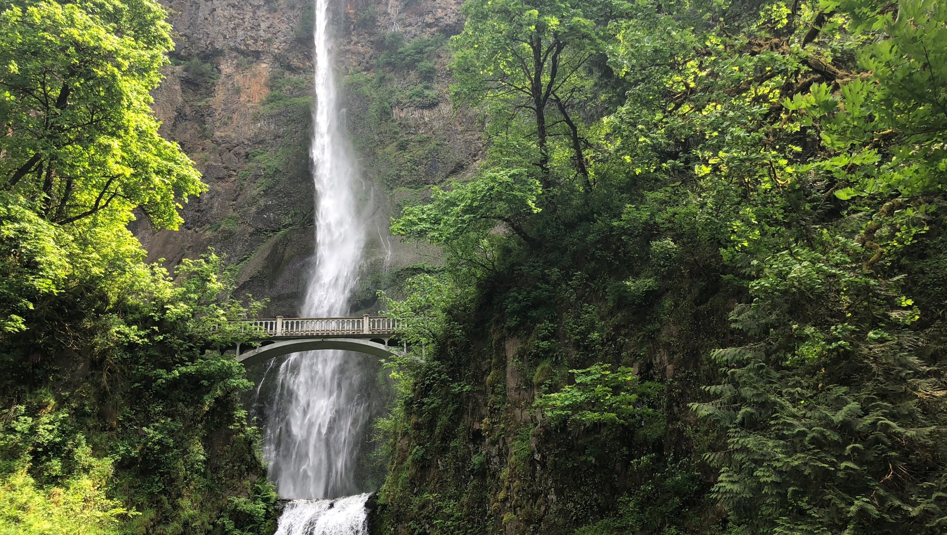 Multnomah Falls Columbia Gorge Trails Reopen After Covid 19 Closures