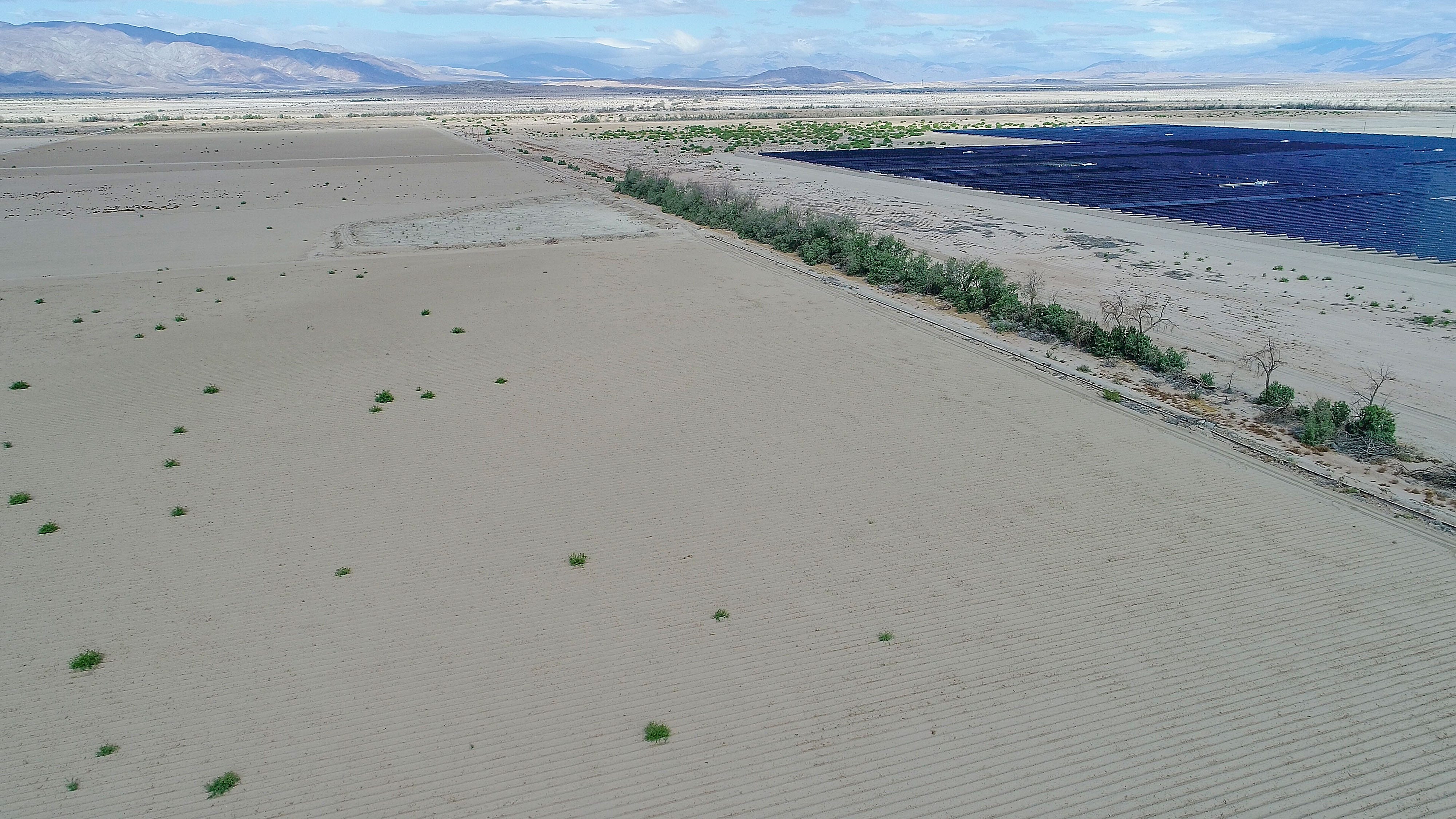 The Seville solar project at Allegretti Ranch, seen from a drone. The undeveloped land in the foreground was prepared for farming by Mike Abatti.