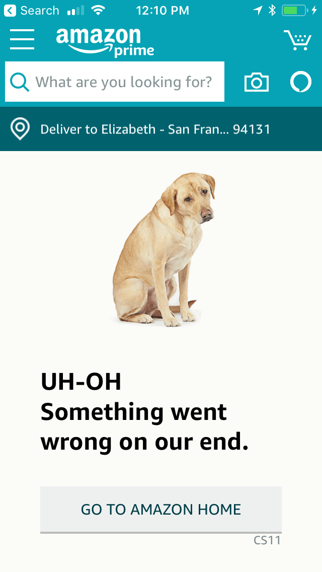  On Amazon Prime Day, site and app crash; shoppers left in lurch instead see photos of dogs