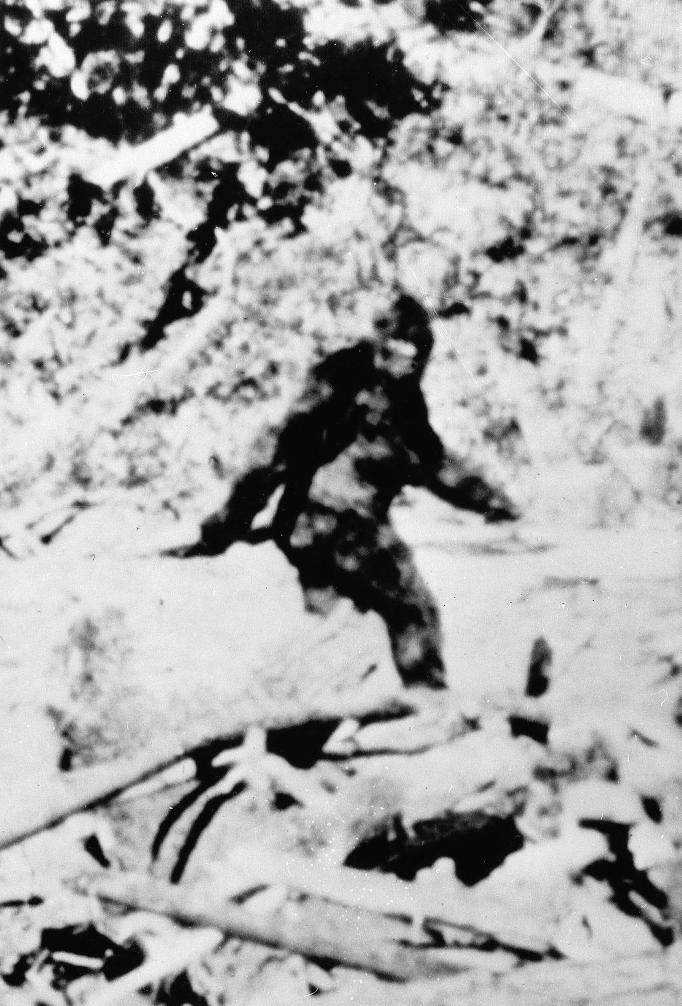  How politics led to an 8,000 percent surge in 'Bigfoot erotica' searches on Pornhub