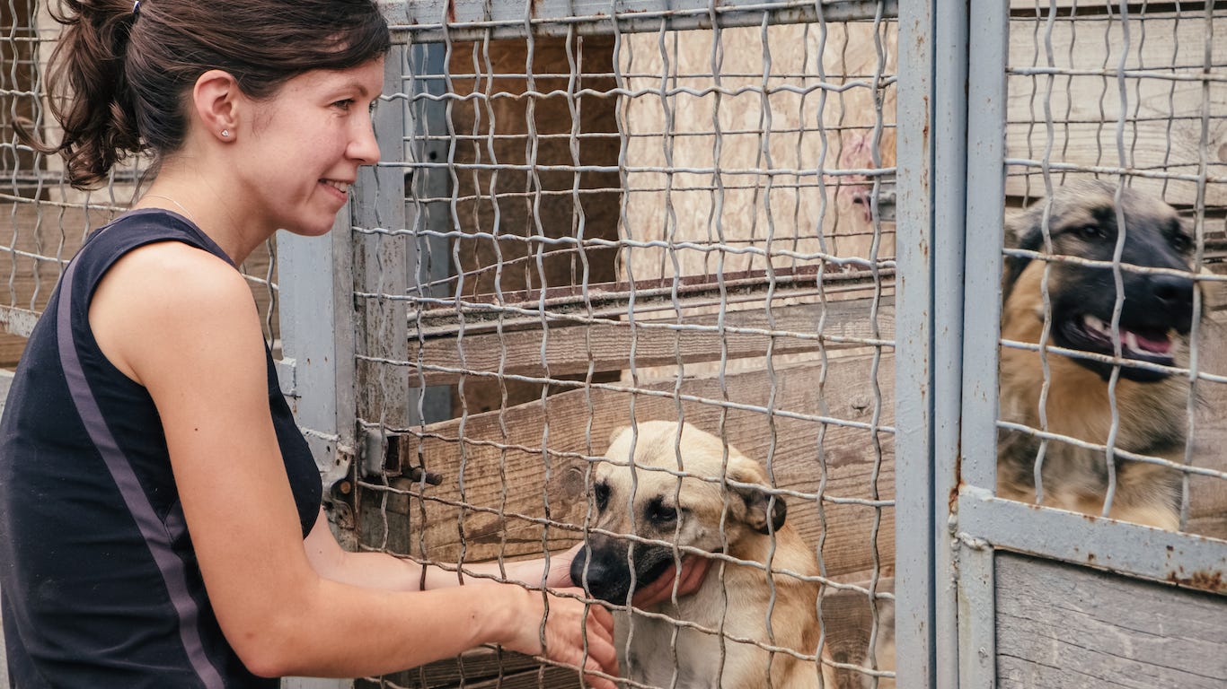 12. Nonfarm animal caretakers &nbsp; &nbsp; &bull; 16 yr. change in share of women:  7.7 ppt. &nbsp; &nbsp; &bull; 2016 female workers:  86,341 (71.4% of total) &nbsp; &nbsp; &bull; 2000 female workers:  32,130 (63.7% of total) &nbsp; &nbsp; &bull; Median earnings:  $25,210 &nbsp; &nbsp; Nonfarm animal caretakers include those who exercise, groom, and feed animals in a range of different settings, from zoos and aquariums to kennels and animal shelters. Since 2000, the number of women working as animal caretakers has more than doubled, and today, 71.4% of all workers in the occupation are female, a larger share than the majority of jobs on this list. &nbsp; &nbsp; While female employment has strengthened far faster among nonfarm animal caretakers than in most jobs, the gender pay gap has worsened slightly. Women in the occupation earn just 78.7% of what their male counterparts earn, down from an 82.4% wage gap in 2000. Across all occupations, the gender pay gap improved from 72.7% to 80.2% over the same period.