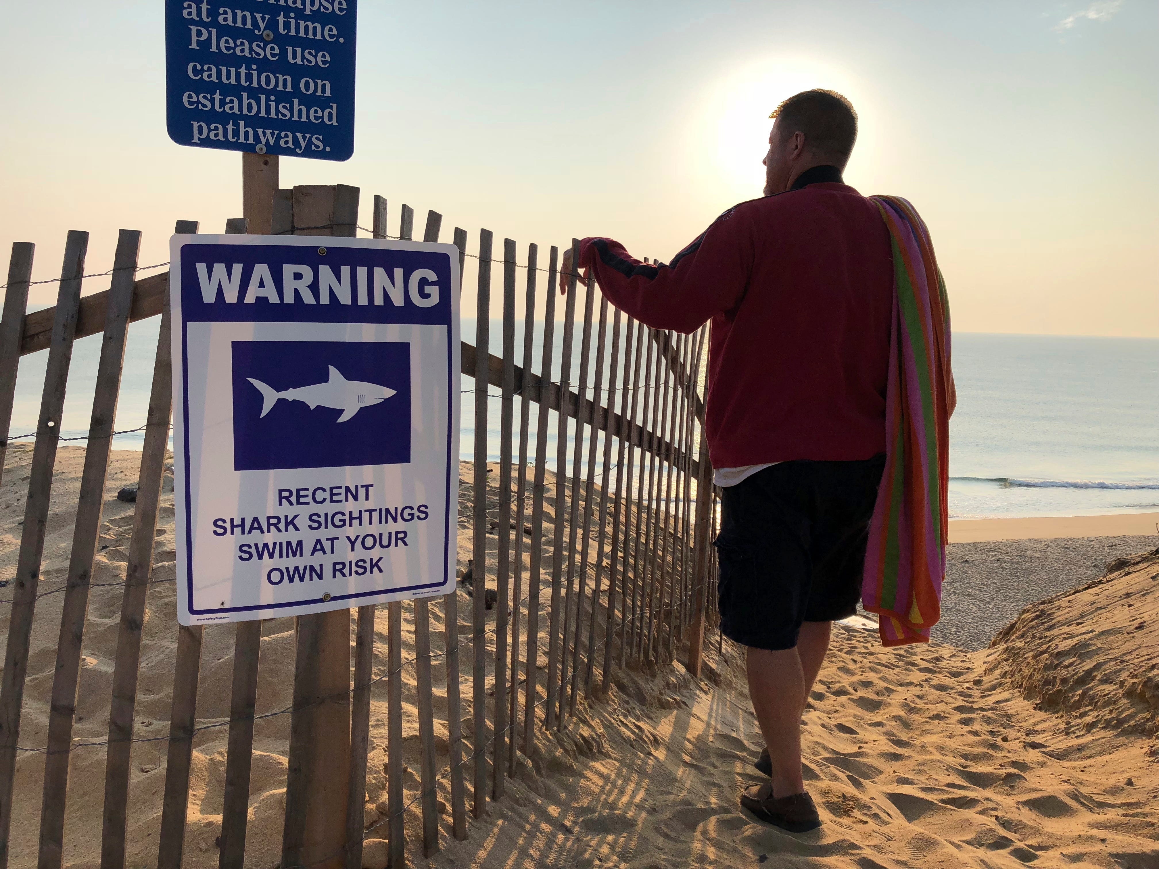 Steve McFadden, 49, of Plattsburgh, N.Y. gazes at Long Nook Beach in Truro, Mass., on Aug. 16, 2018. Authorities closed the Cape Cod beach to swimmers after a man was attacked by a shark on Wednesday - the first attack on a person in Massachusetts si