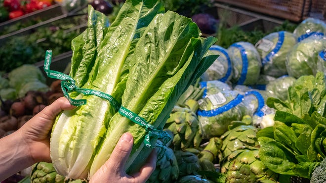 Tainted romaine lettuce caused an E. coli outbreak in late 2018.