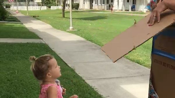 Marine dad's surprise knocks his toddler off her...