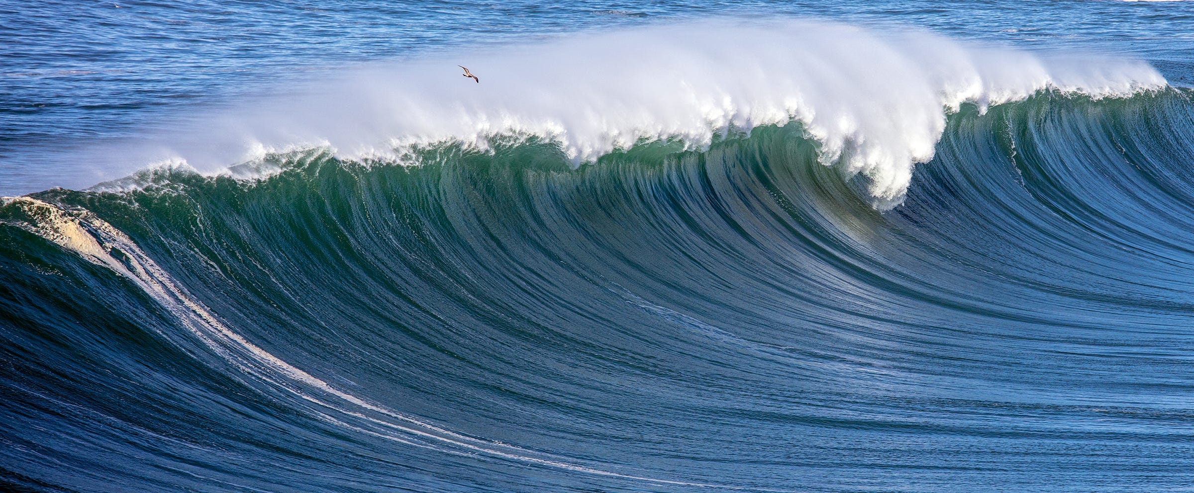 Mavericks surf waves are deadly