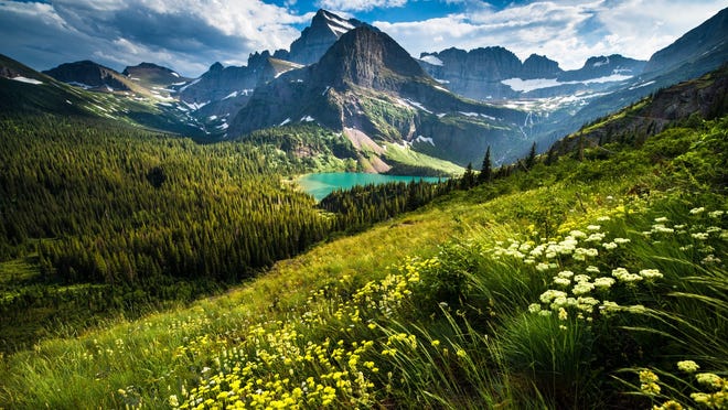 Montana