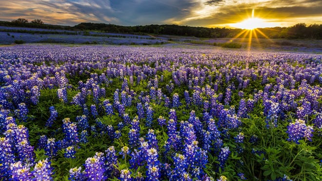 Texas