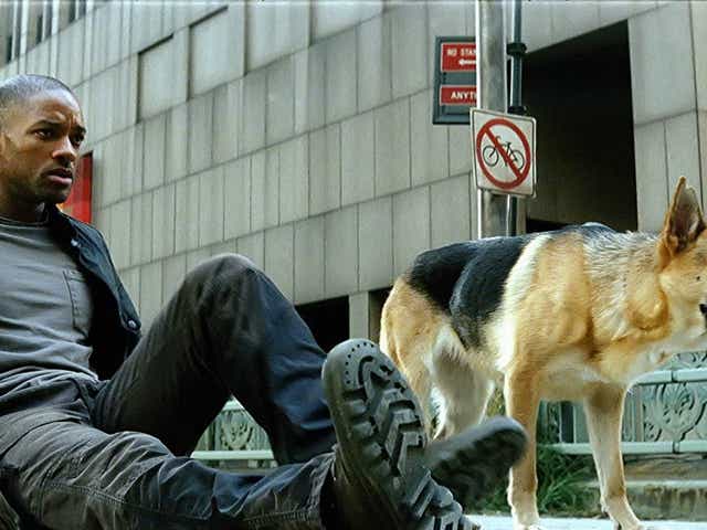 Fact Check Will Smith Movie I Am Legend Was Set In 12 Not 21